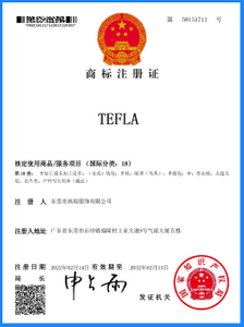  Certificat TEFLA 